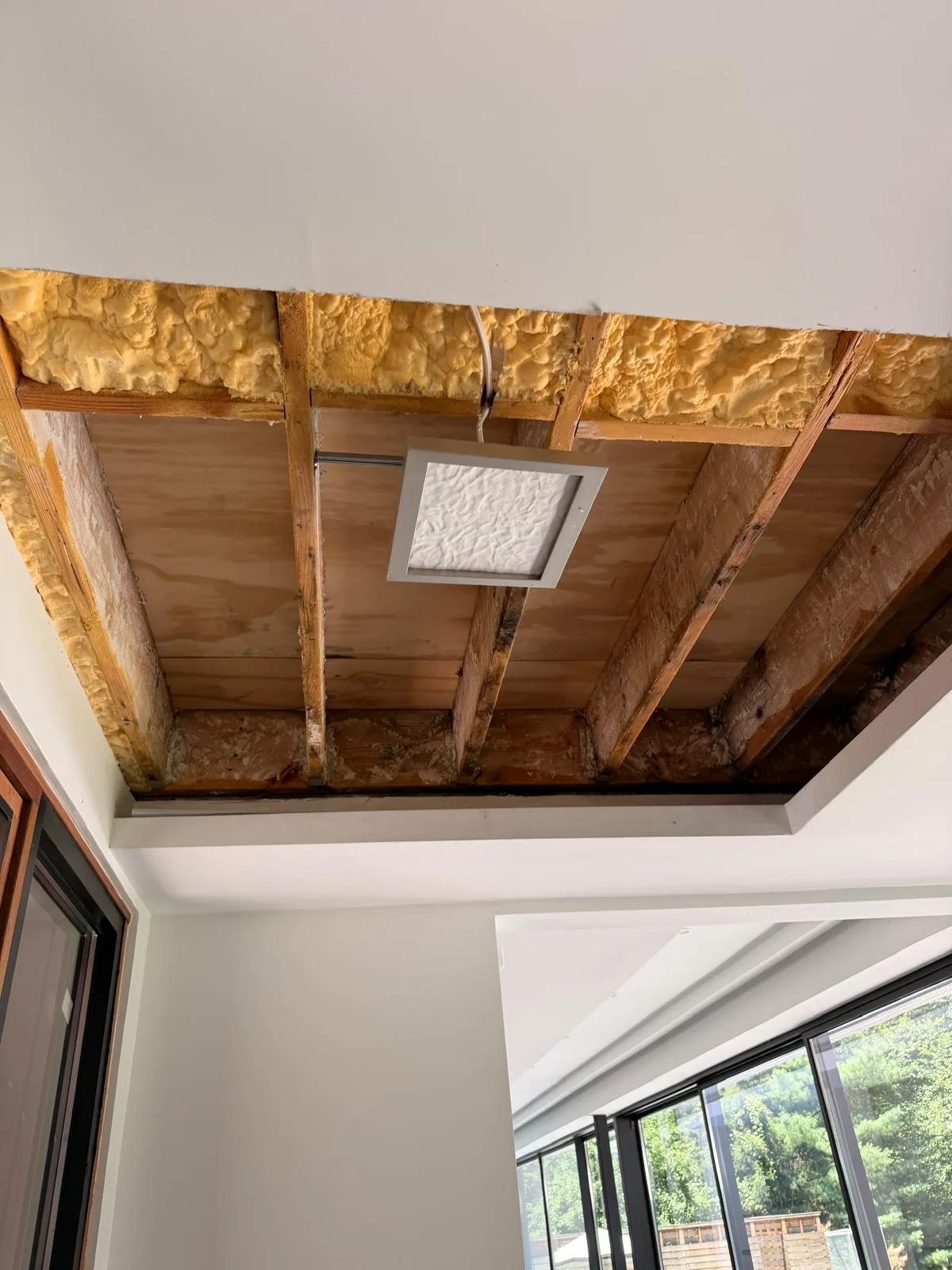 Ceiling before repair